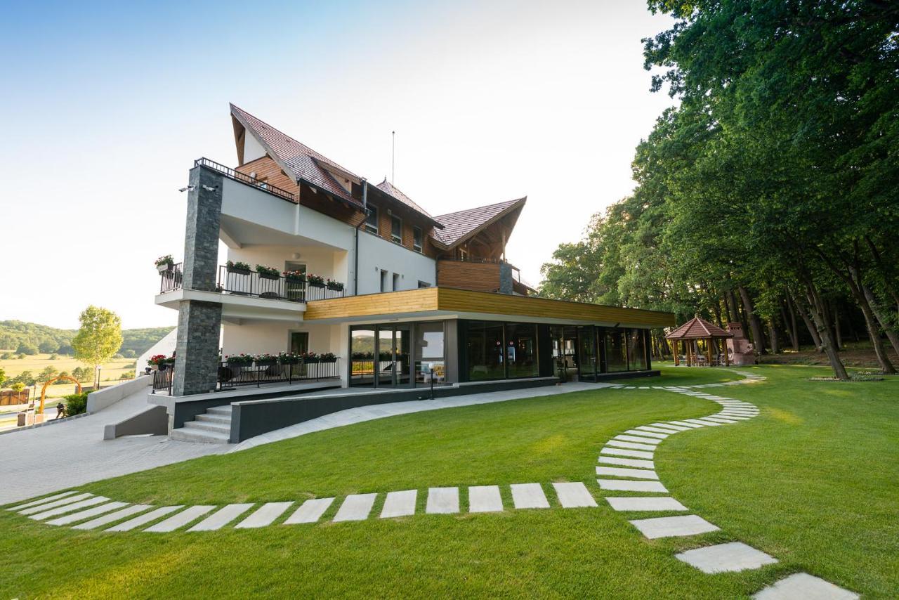 Panorama Boutique Hotel Sfântu Gheorghe Exterior foto