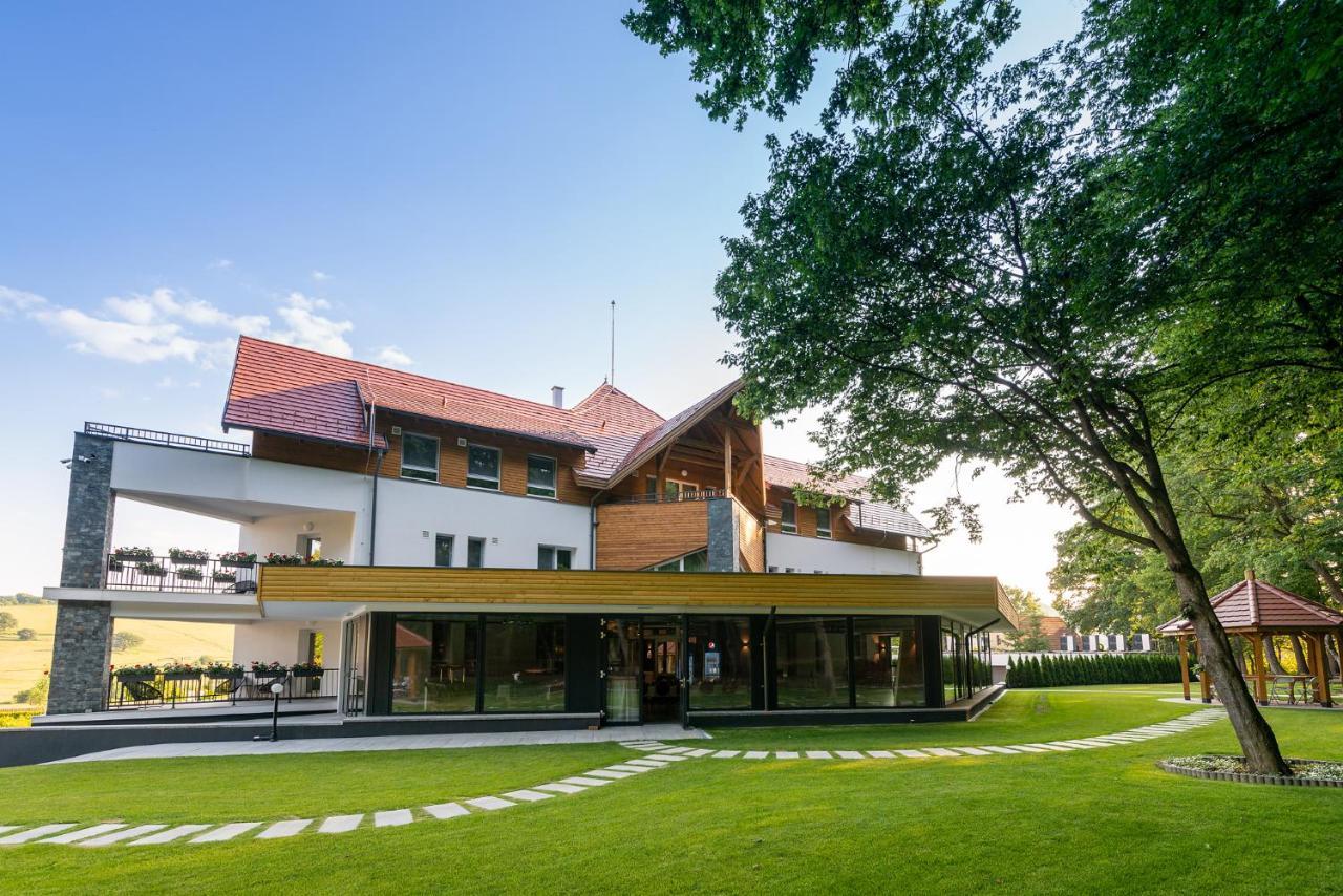 Panorama Boutique Hotel Sfântu Gheorghe Exterior foto